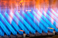 Iolaraigh gas fired boilers